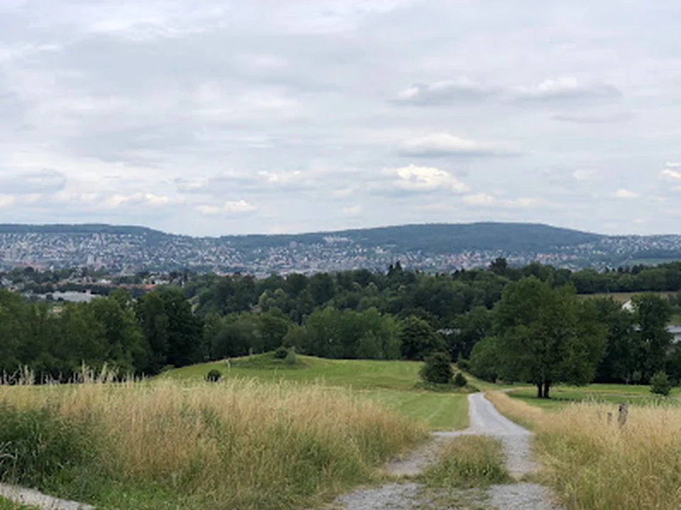 Abzweigung Aufstieg Üetliberg
