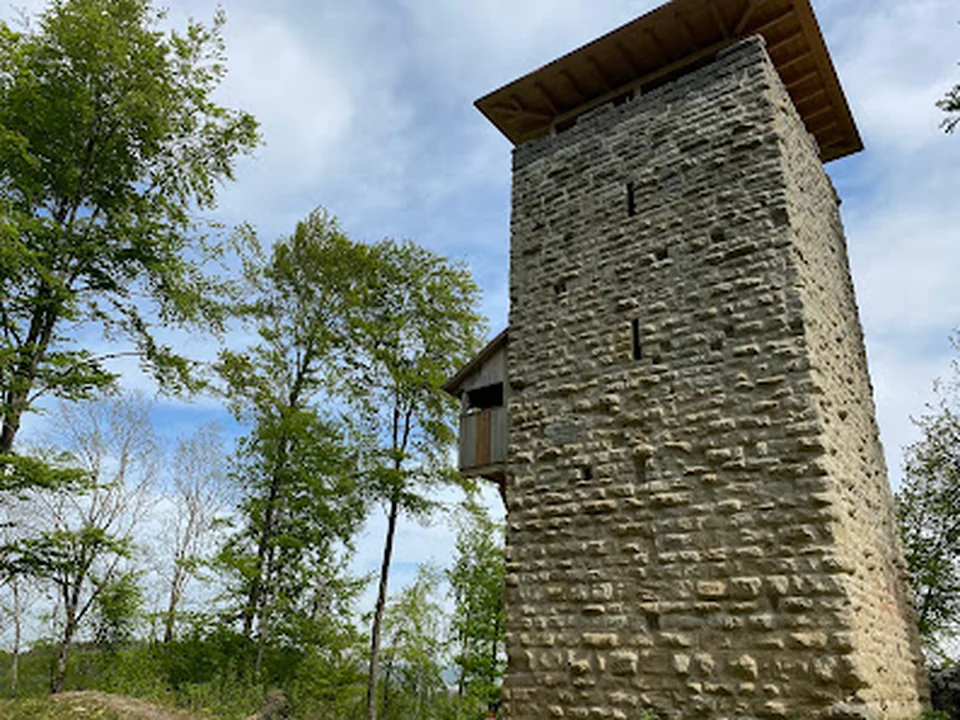Alt-Wülflingen Castle