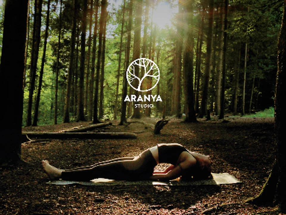 Aranya Studio - Yoga, Pilates, Massage & Personal Training