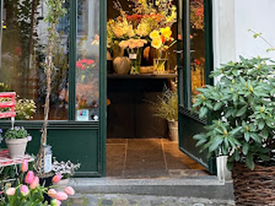 Blumen Schipfe