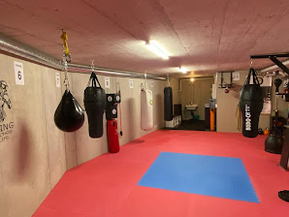 Box Dich Fit Zürich