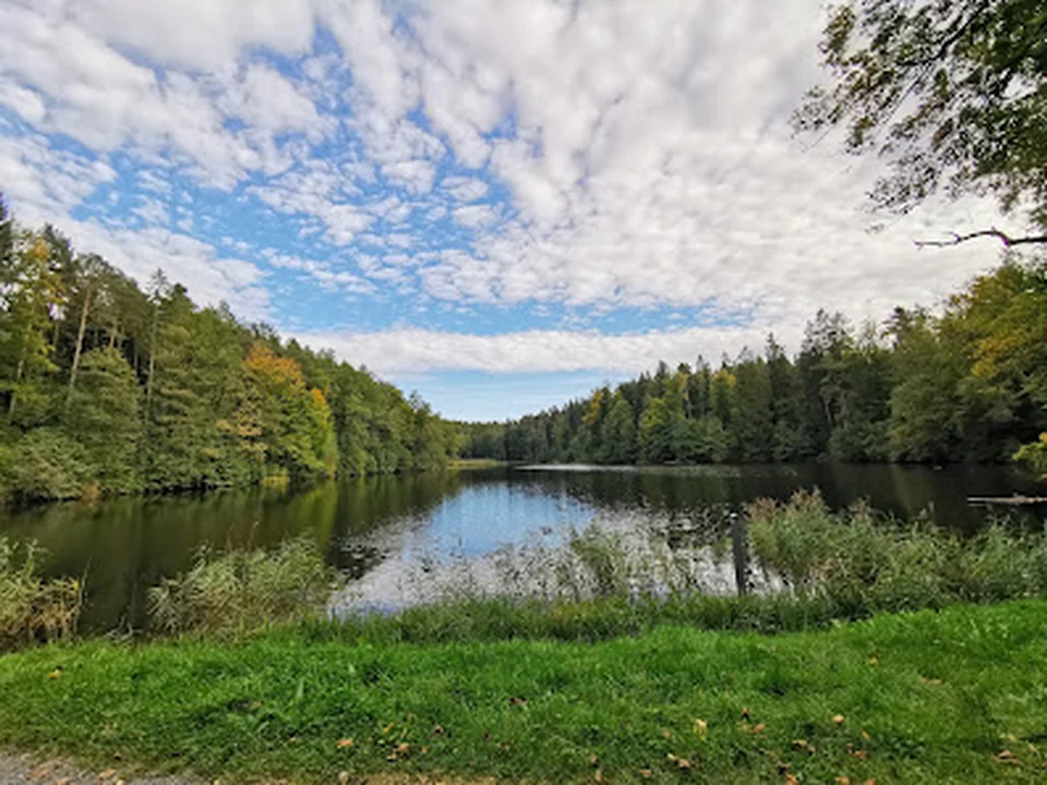Gattiker Waldweiher
