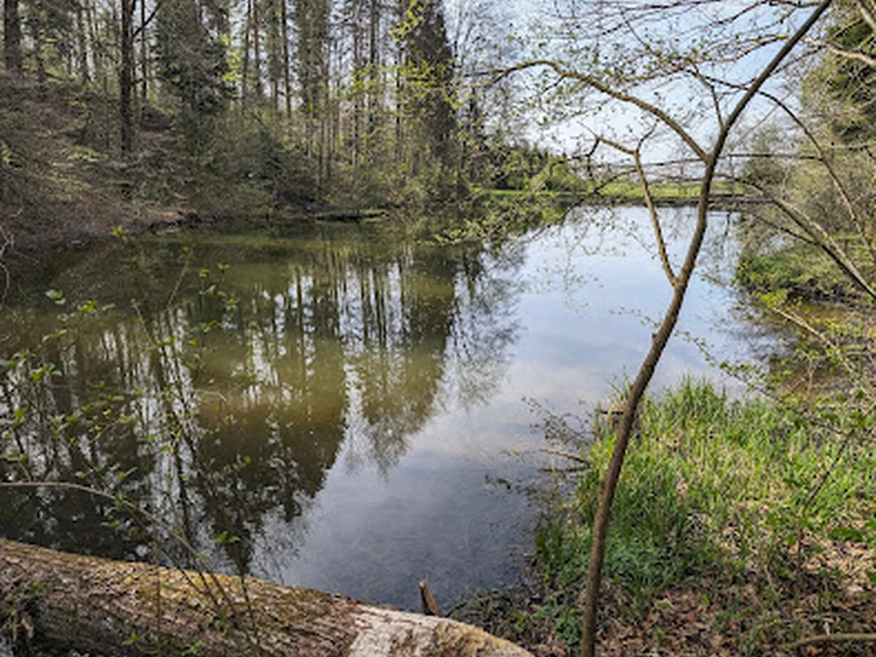 Giessenweiher
