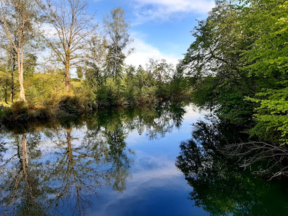 Limmatinsel