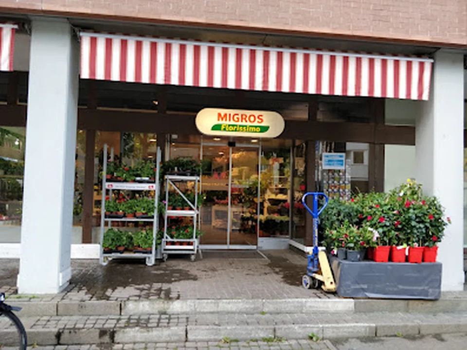 Migros Blumen