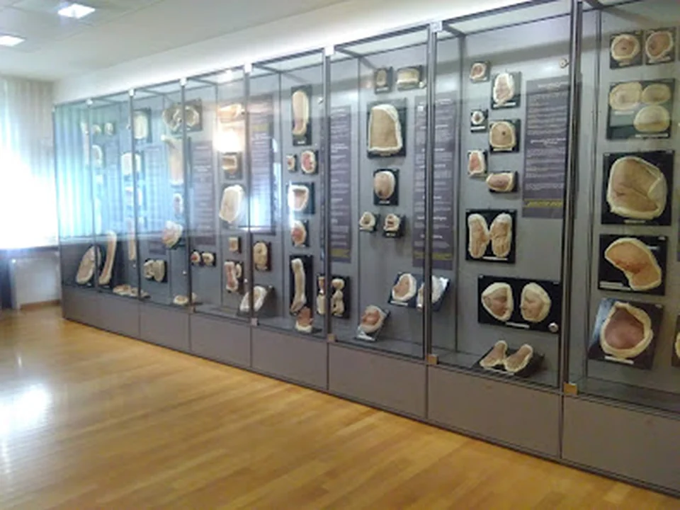 Best museum in Zurich