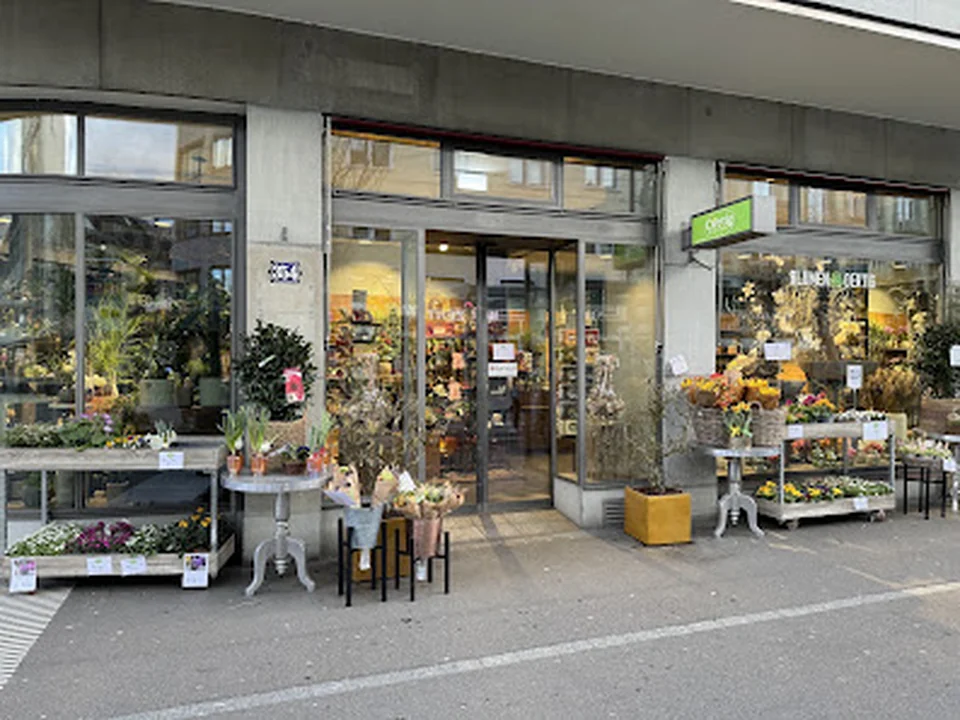Oertig Blumen und Pflanzen Oerlikon
