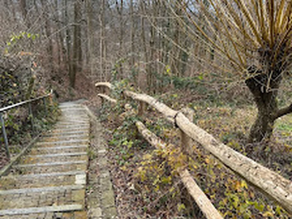 Raintobelweg
