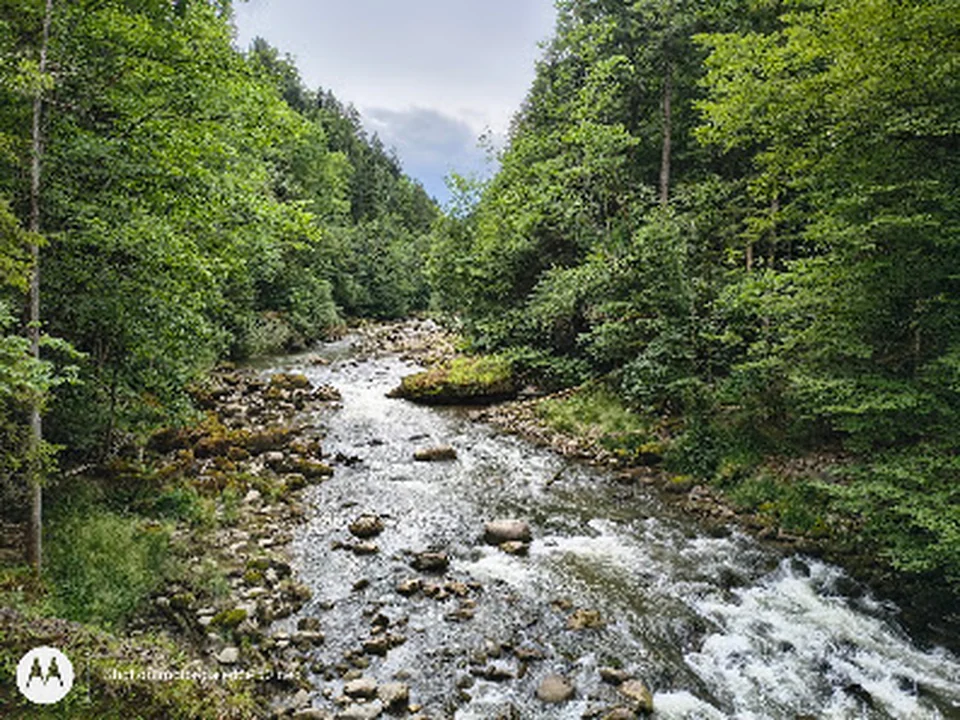 Sihlsprung