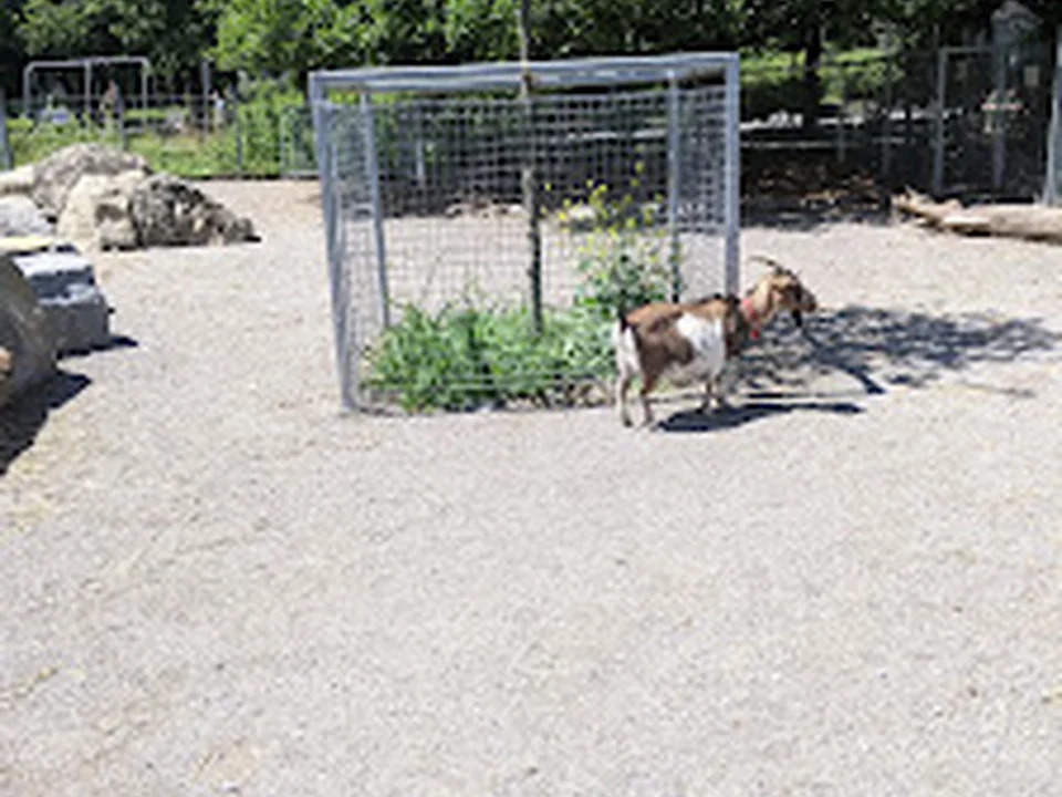 Foto de Spielplatz Bachwiesen