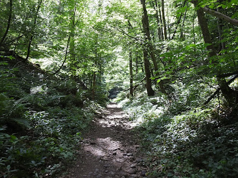 Best hiking trails near in Zurich