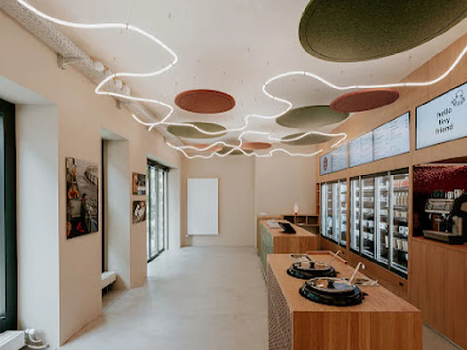 TINYFISH - Zürich Löwenstrasse