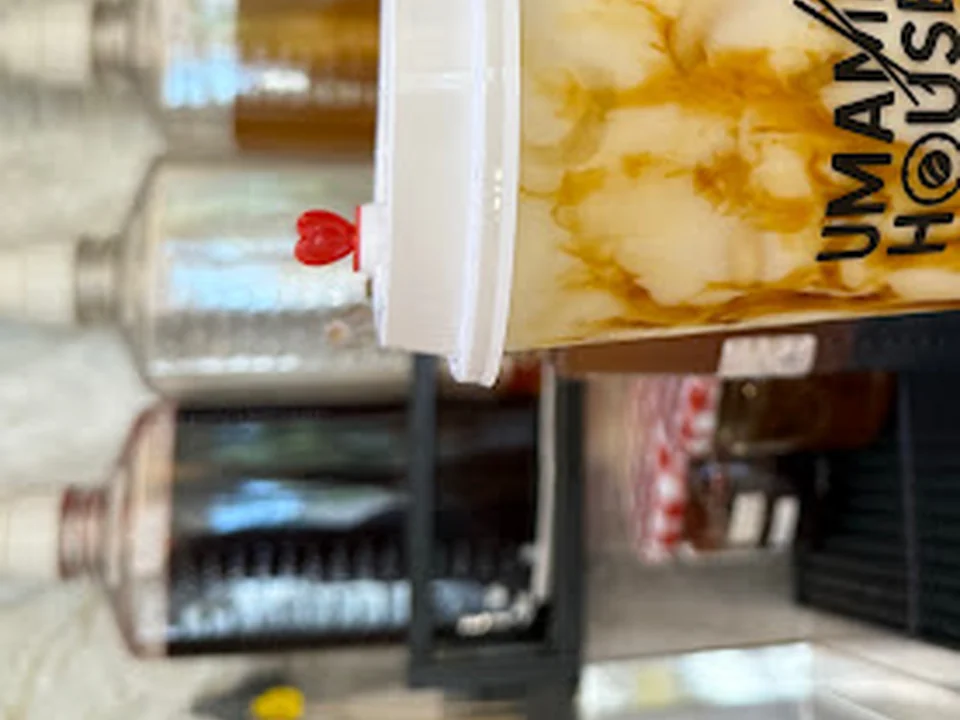 UMAMI HOUSE Sushi & Bobatea Zurich