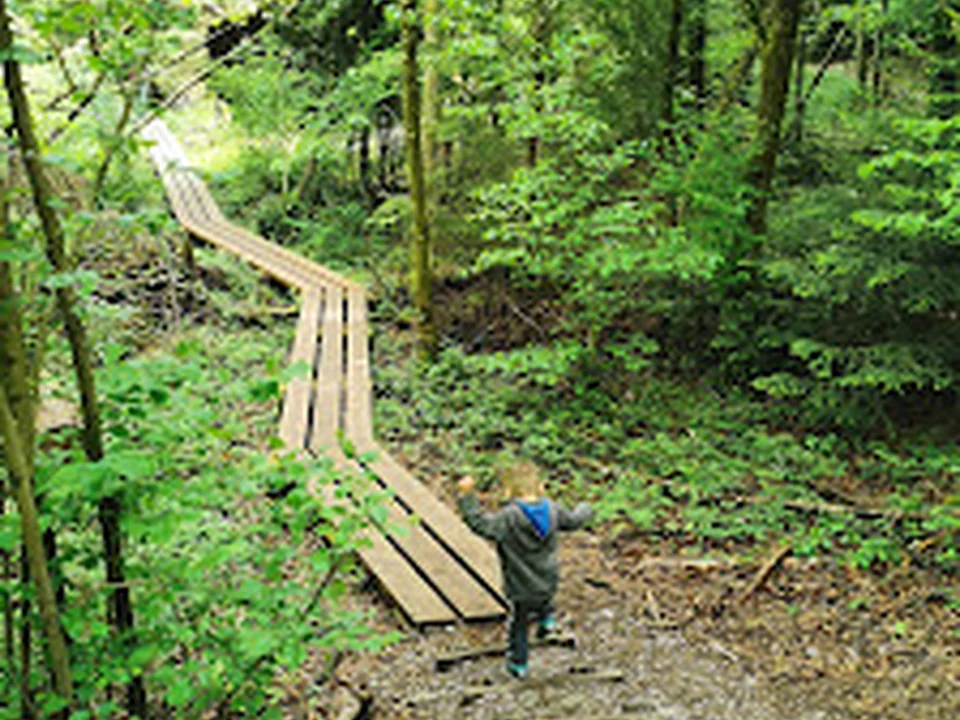 Walderlebnispfad im Sihlwald