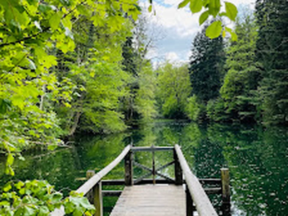 Foto de Waldsee Farenbachtobel