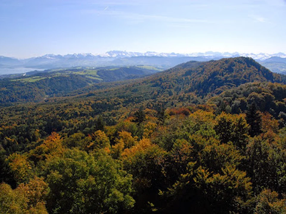 Wildnispark Zürich Sihlwald