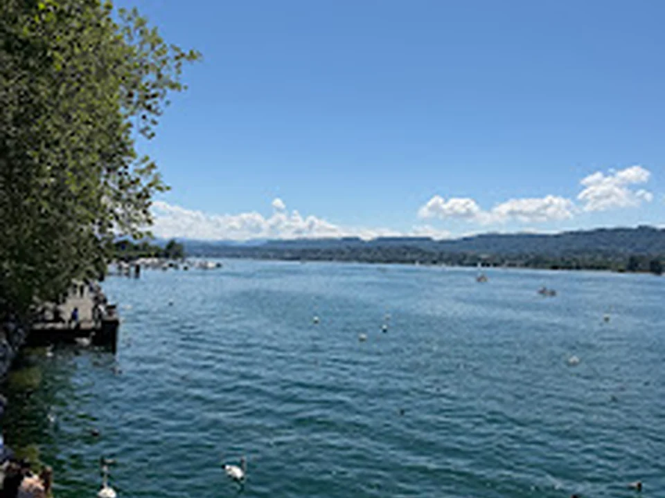 Lake Zurich boardwalk