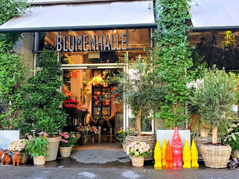 Blumenhalle Spring AG - Blumengeschäft Zürich