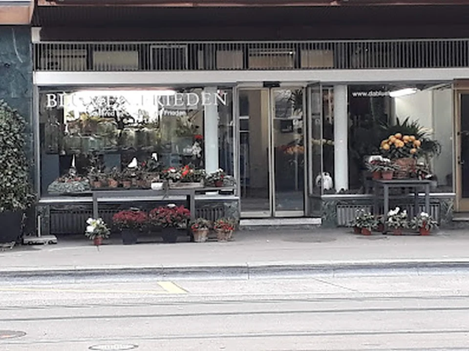 Blumen Frieden, Zürich