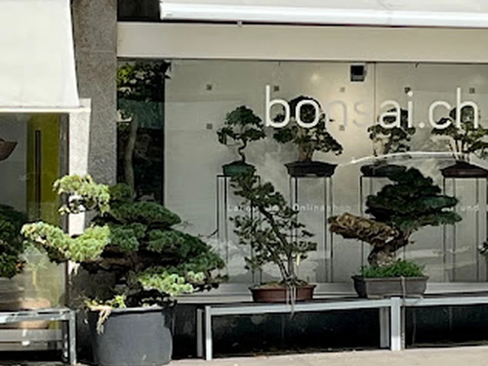 bonsai.ch GmbH, Zürich