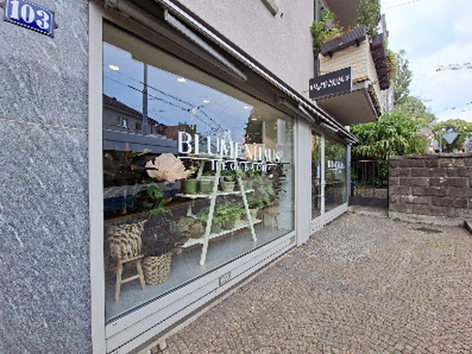 Blumenhaus Hegibach, Zürich