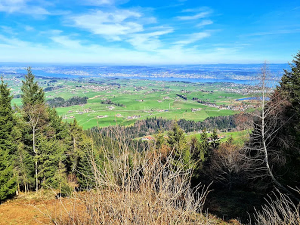 Wildspitz, Zürich