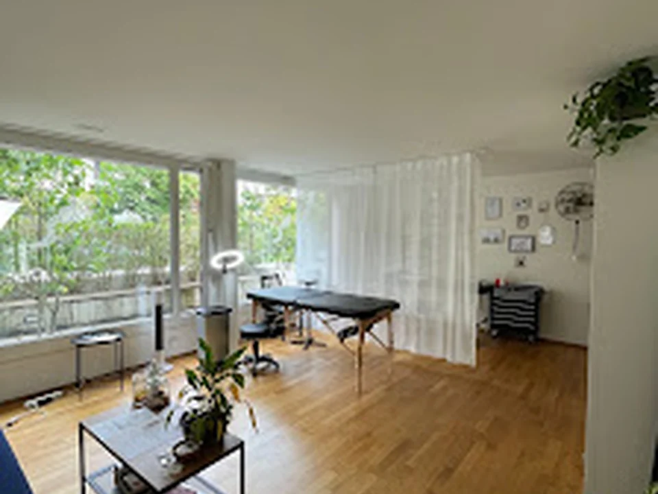 Pikaia Atelier, Zürich
