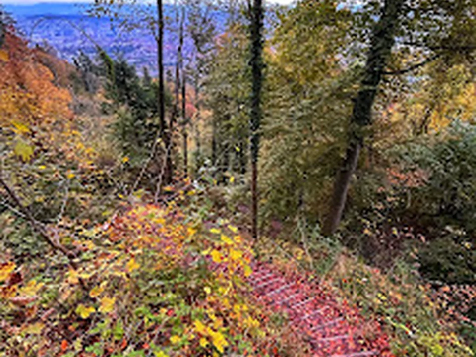 Wanderweg - Uetliberg, Zürich