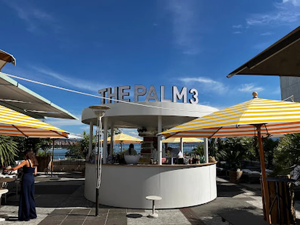 The Palm 3, Zürich