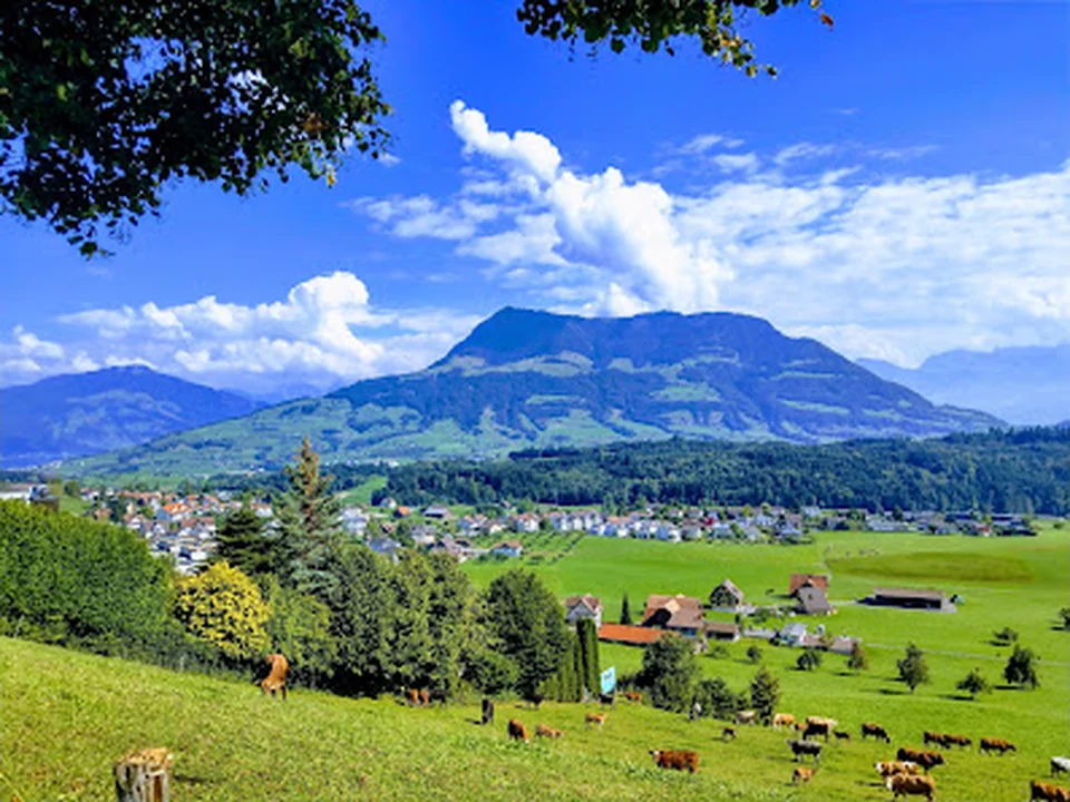 Rooterberg, Zürich