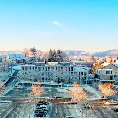 Inter-Community School Zurich