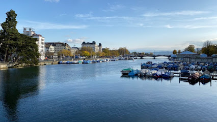 Swiss Medical Center (SMC) Ltd.