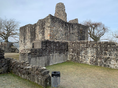 Ruins of Alt-Regensberg Castle