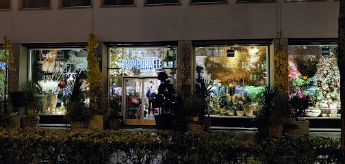 Blumenhalle Spring AG