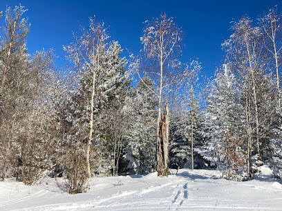 Skilift Nollen - Bergstation