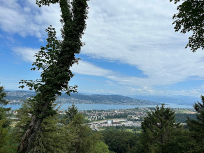 Lookout Uetliberg