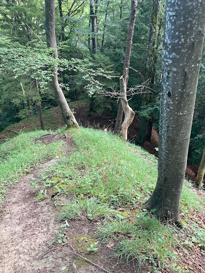 Ruine Sellenbüren