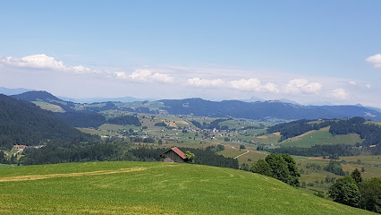 Skilift Raten - Bergstation