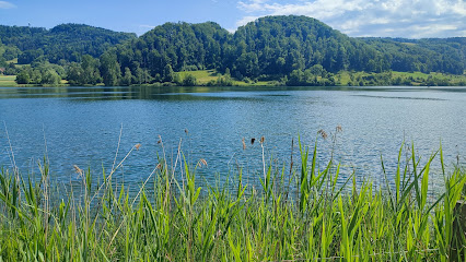 Türlersee