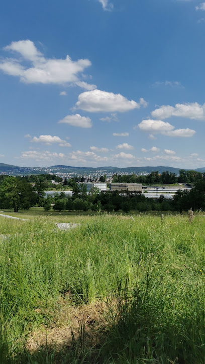 Abzweigung Aufstieg Üetliberg