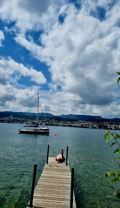 Erlenwagen Playa Lago Zurich